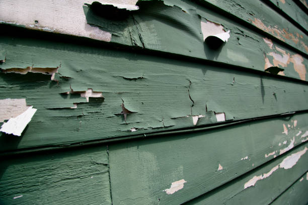 Affordable siding repair and maintenance services in Roosevelt Park, MI