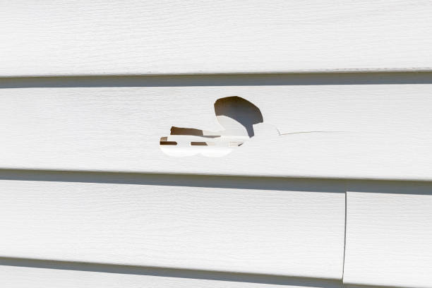 Siding Removal and Disposal in Roosevelt Park, MI