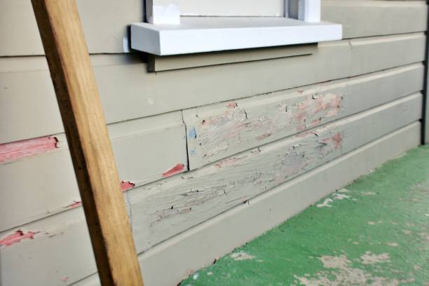 Siding for New Construction in Roosevelt Park, MI